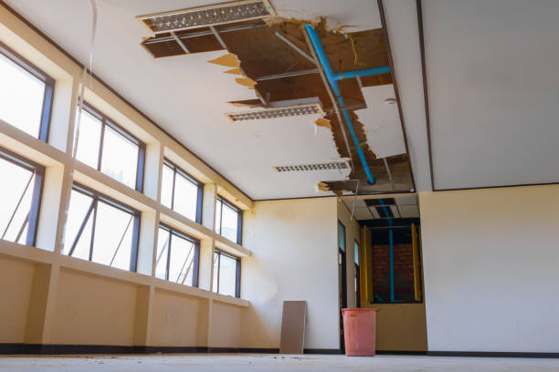Best Water damage restoration near me  in West Pittston, PA