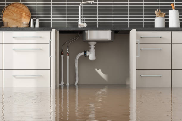 Best Water damage restoration near me  in West Pittston, PA