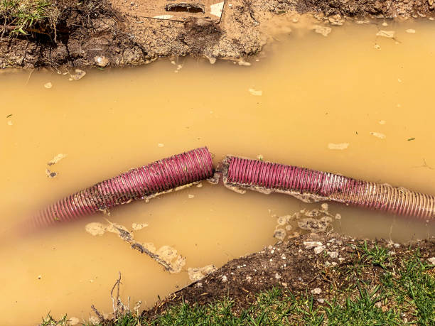 Best Sewage cleanup and water damage restoration  in West Pittston, PA